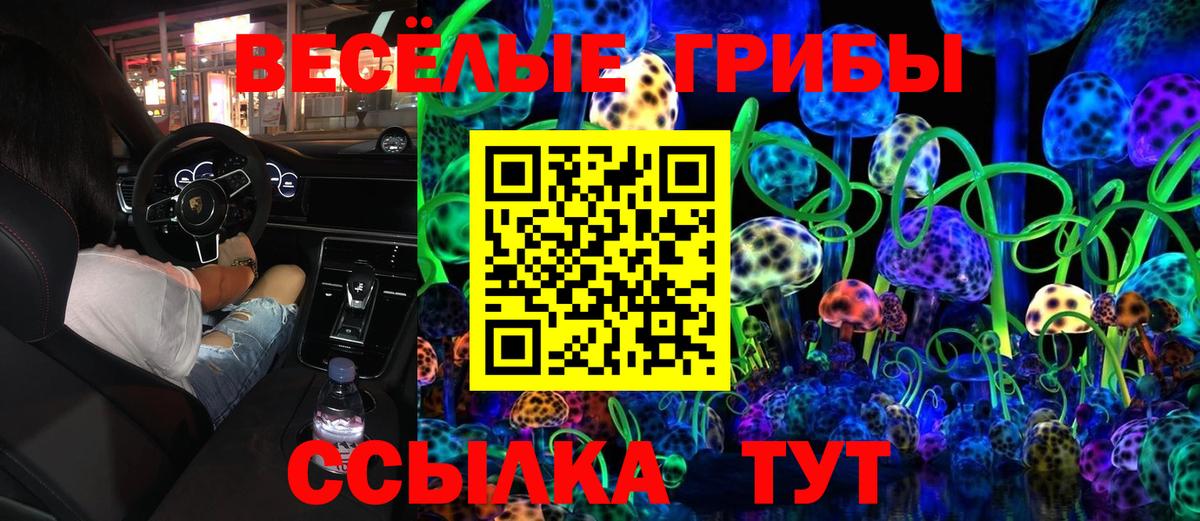 Орск  Псилоцибиновые грибы Cubensis  купить   Вход с VPN 